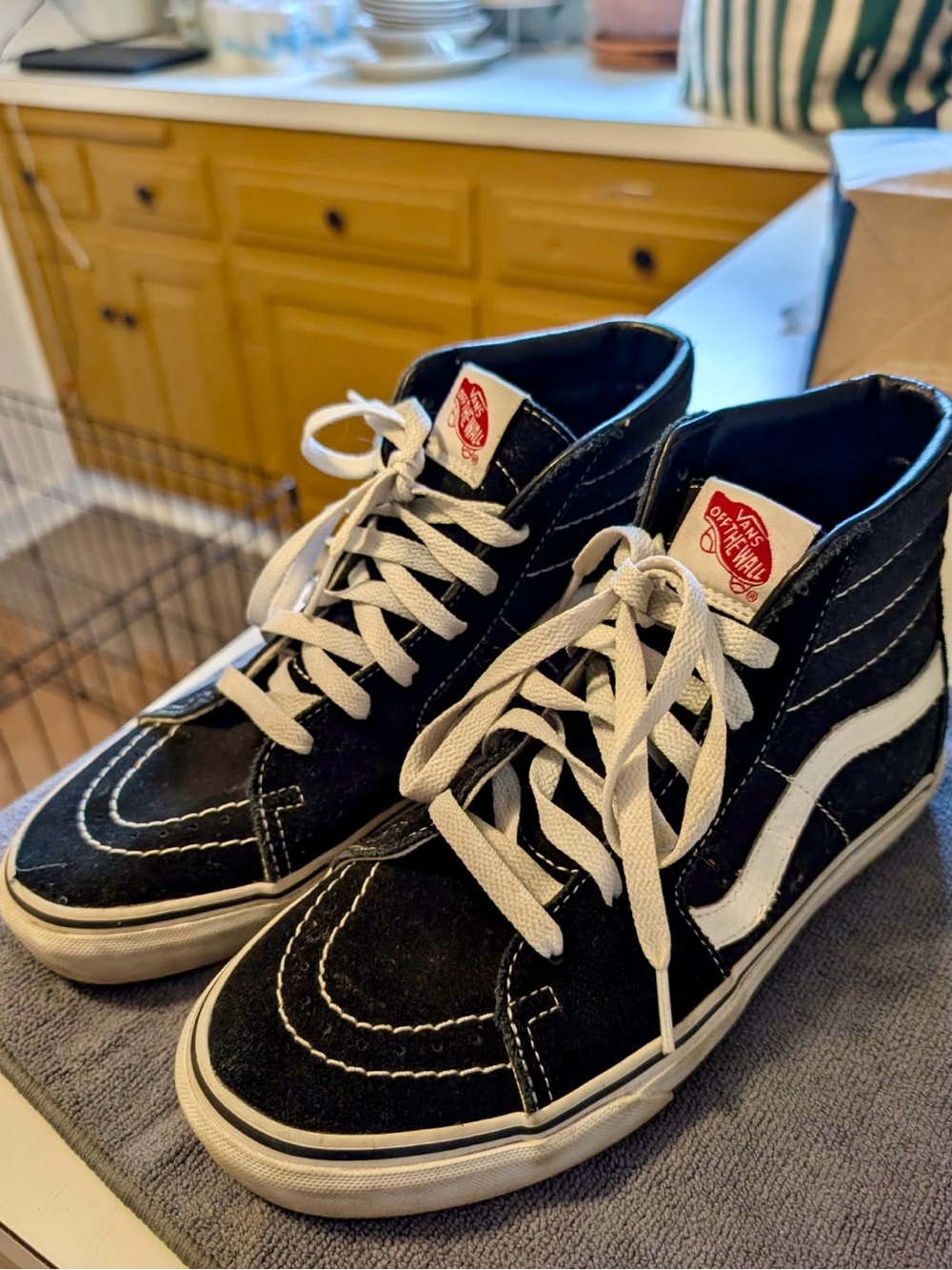 Vans Sk8 Hi high top shoes